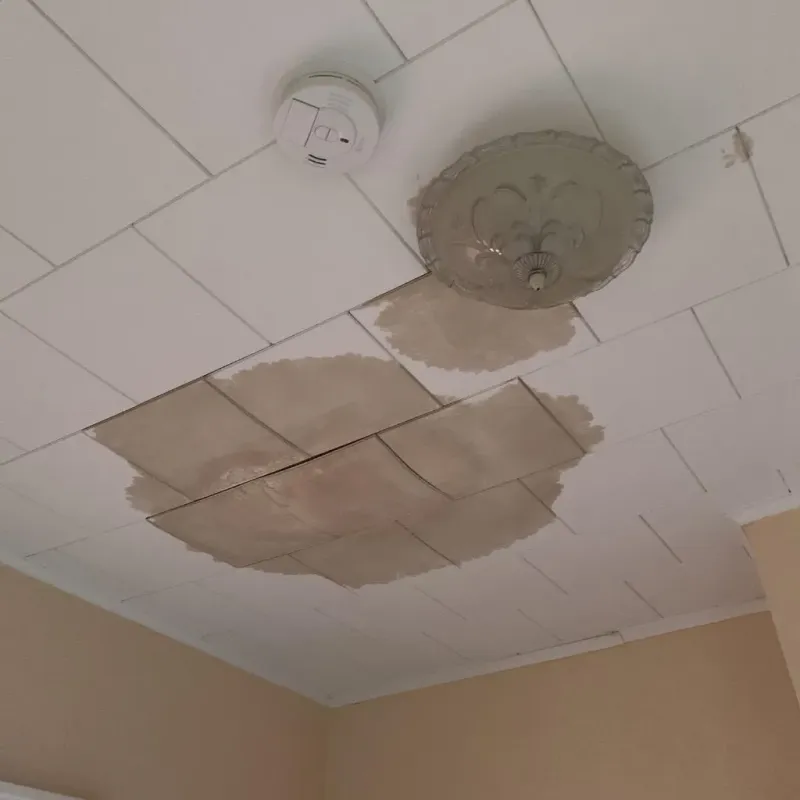 Ceiling Water Damage Repair in Oak Grove, KY