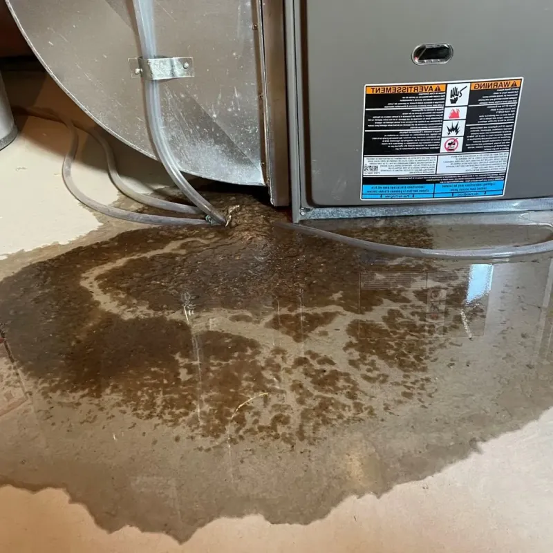 Pipe Burst and Leak Restoration in Oak Grove, KY