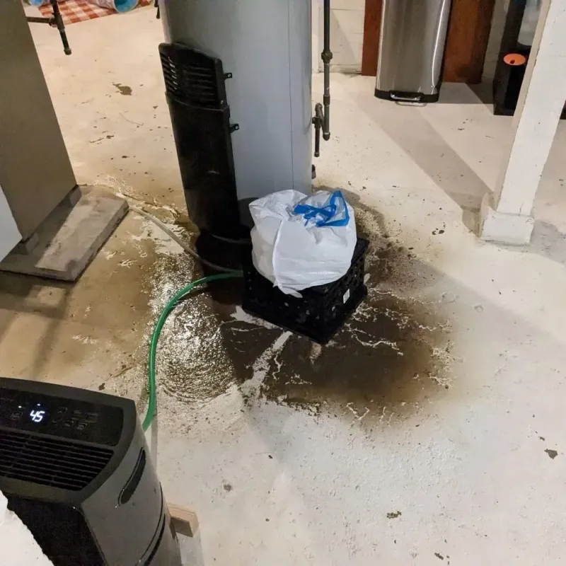 Sewage Backup Cleanup Service in Oak Grove, KY